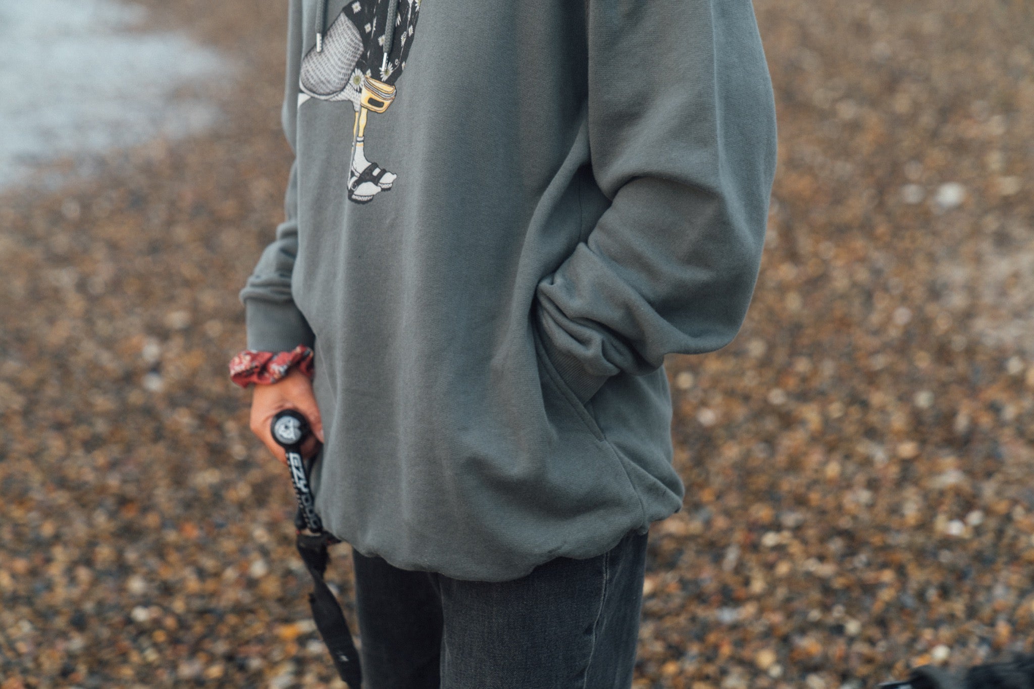 Sightseer Seagull Hoodie (Urban Chic)