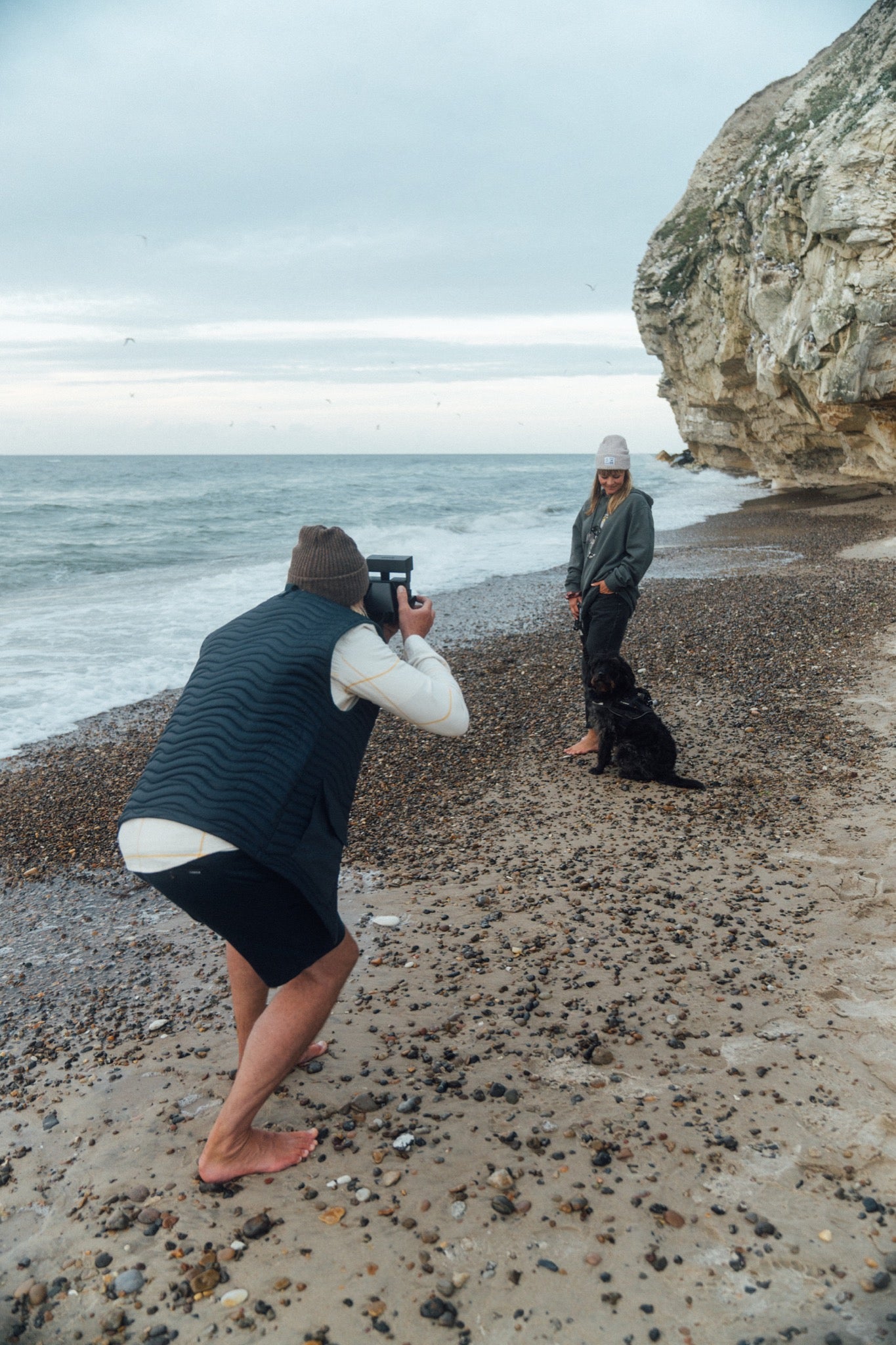 Sightseer Seagull Hoodie (Urban Chic)